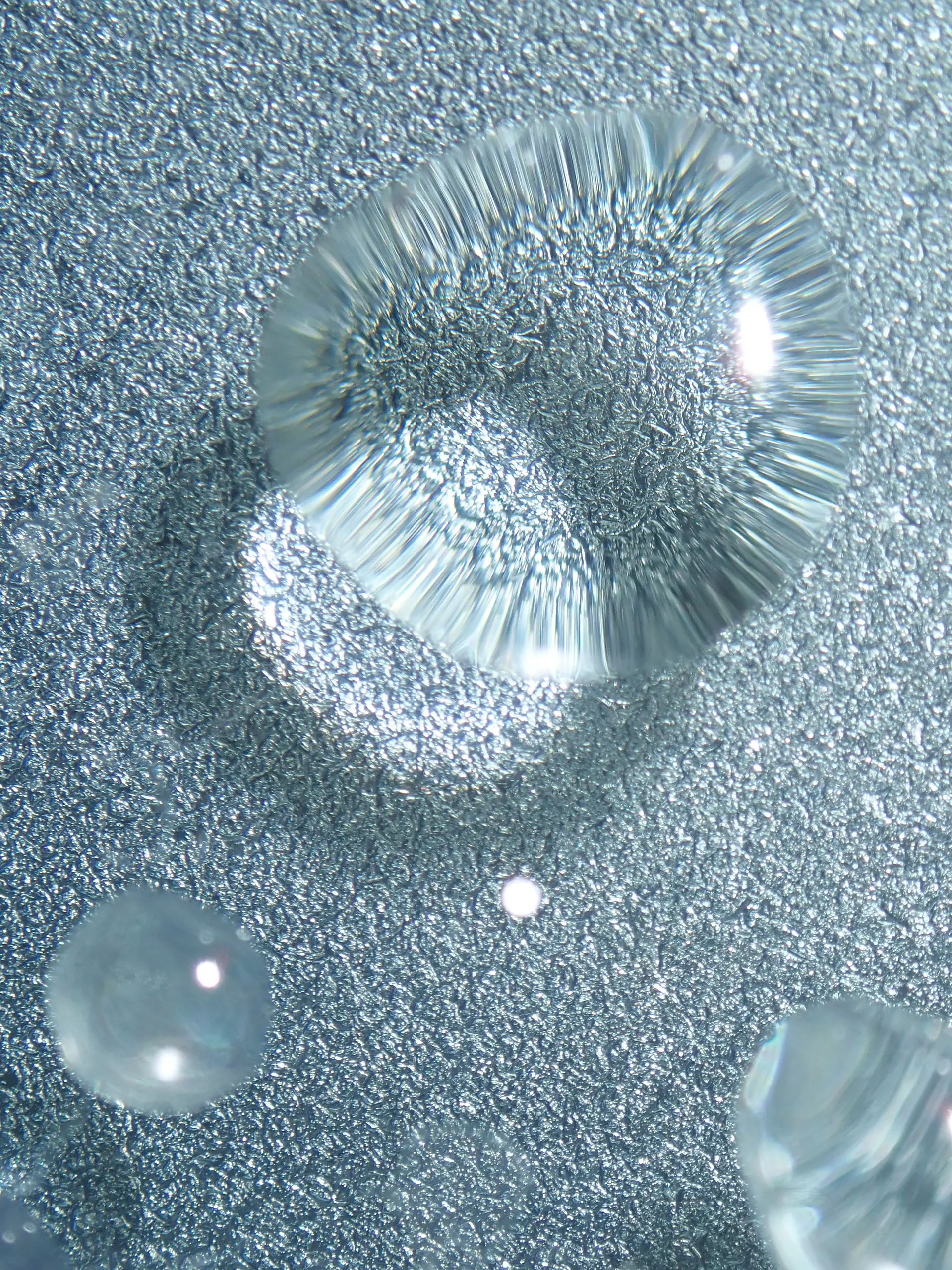Surfaces_stayhome_05