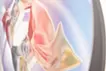 うつろう旬_maguro