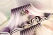 うつろう旬_tako