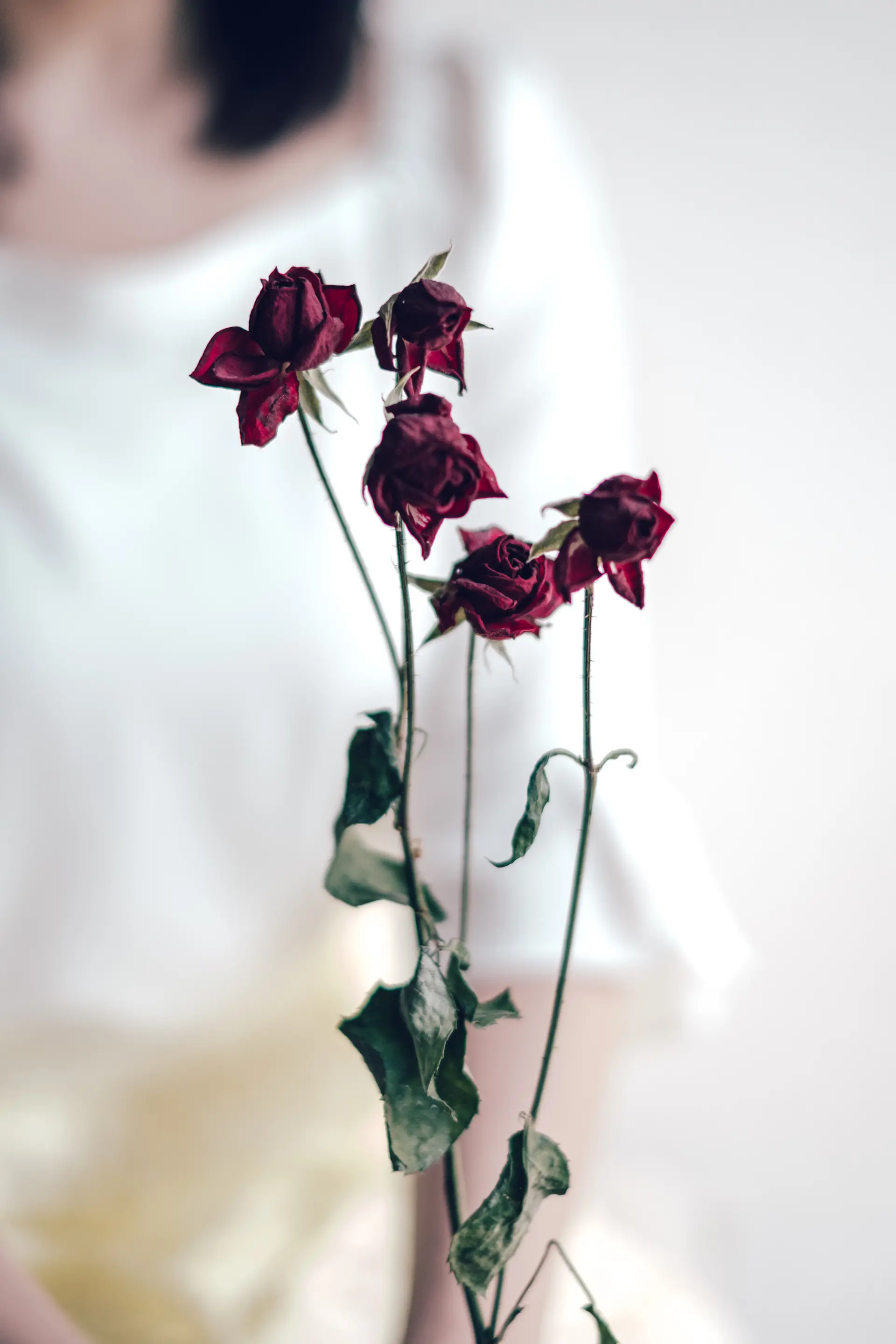祈り | love