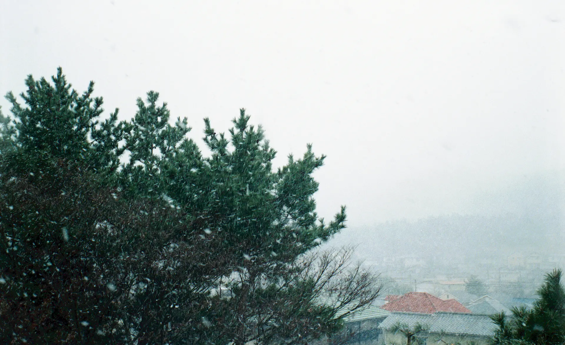 団地時代の雪 1