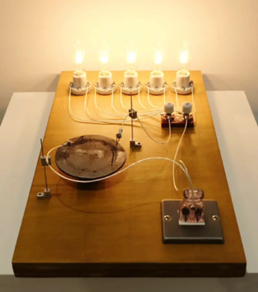 5つの白熱灯のための接点 / Point of Contact for 5 incandescent lamps by タムラ サトル