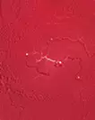 Strata #Magma
