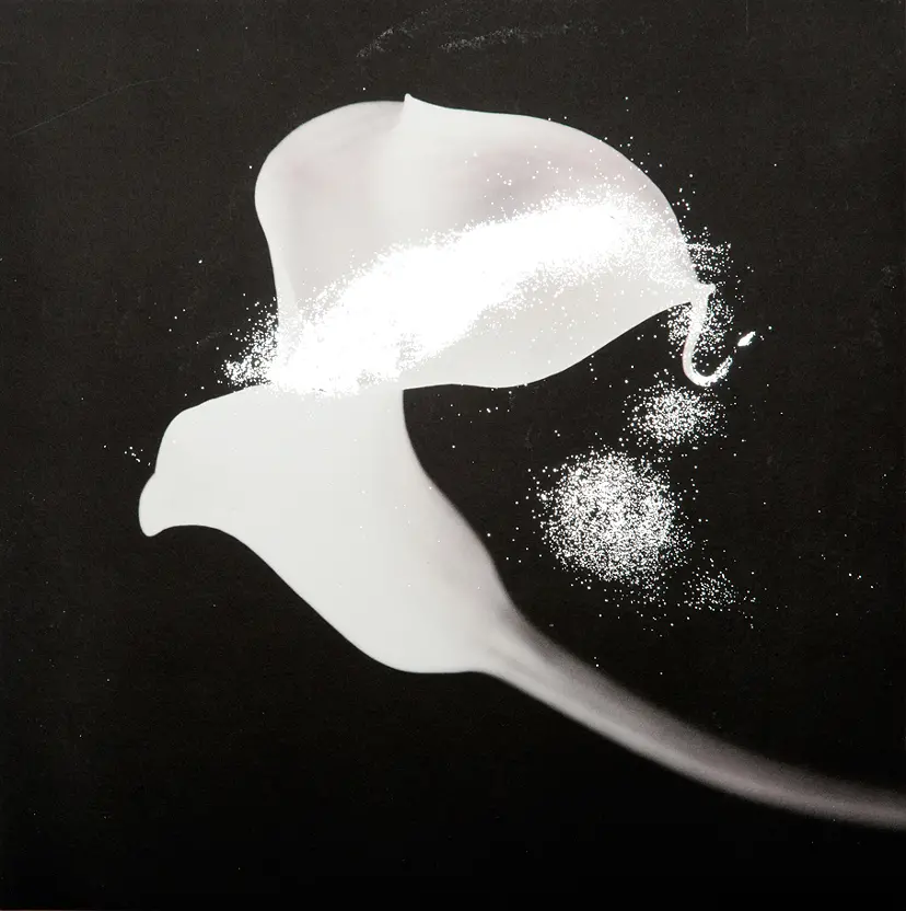 Flash/Calla(front) BK by 栗棟 美里
