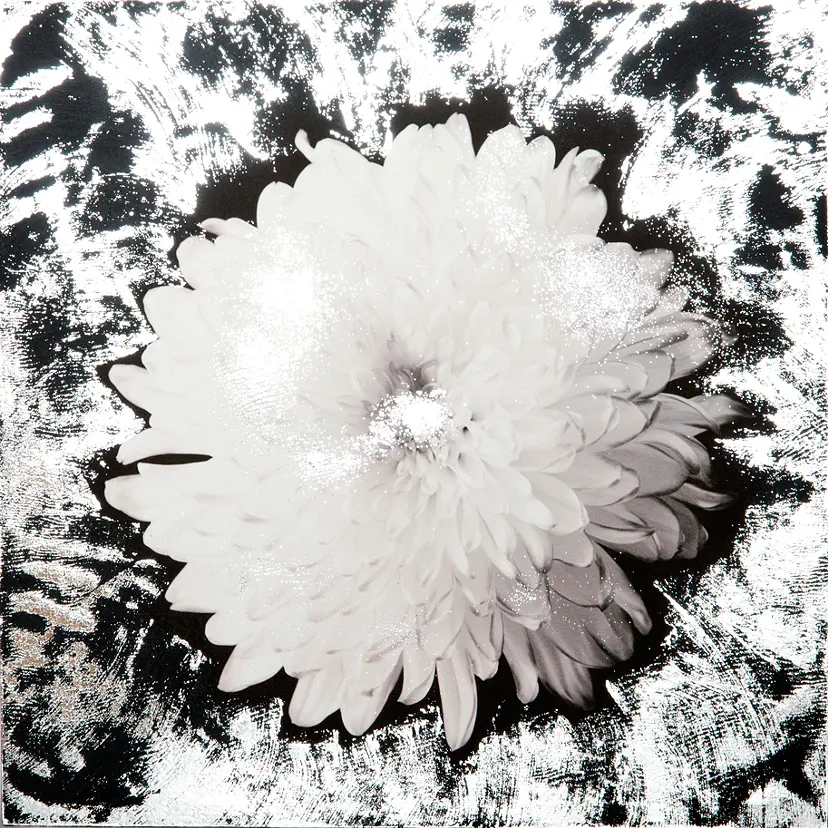 Flash/Chrysanthemum(side) BK by 栗棟 美里