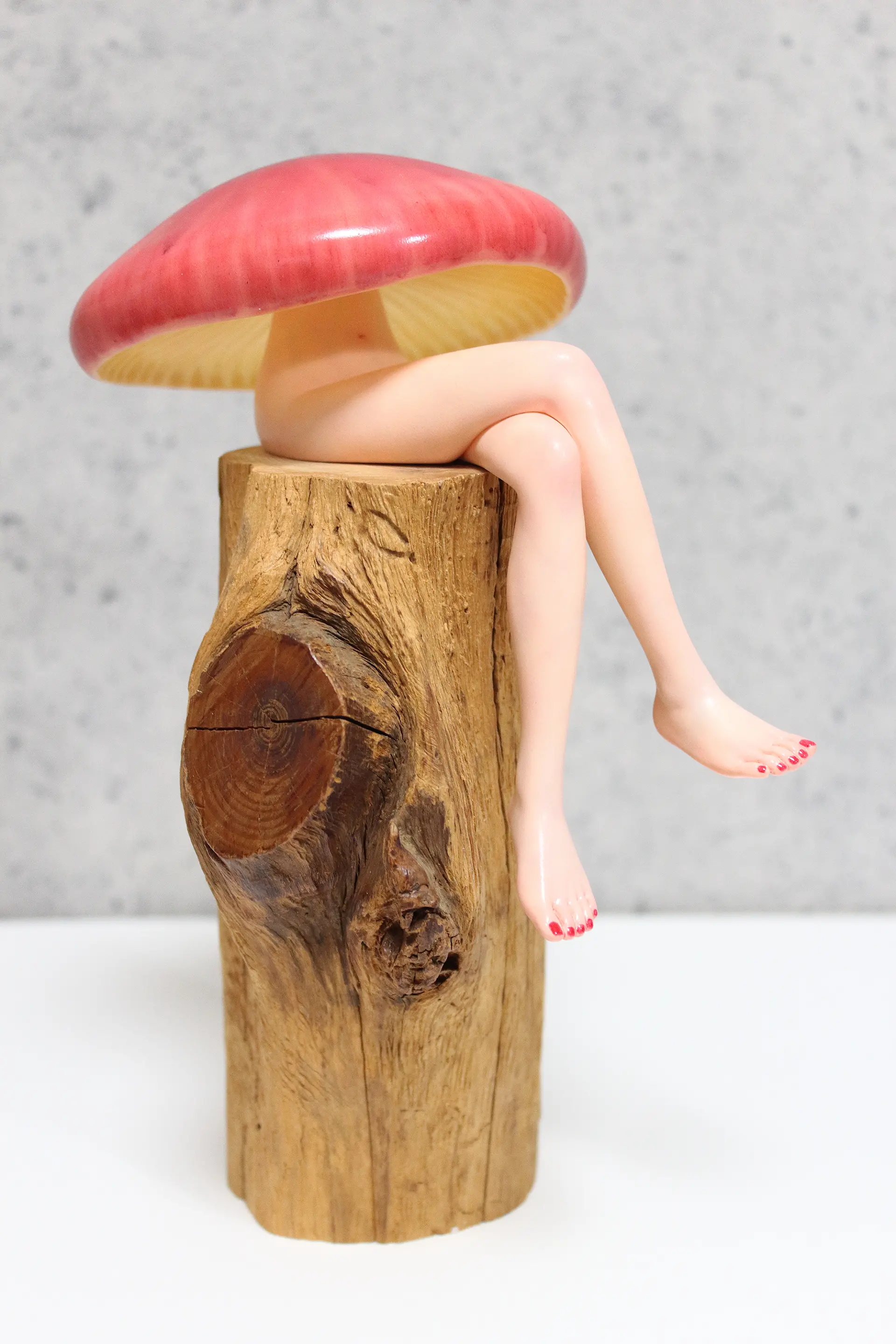 ドクベニタケモドキ