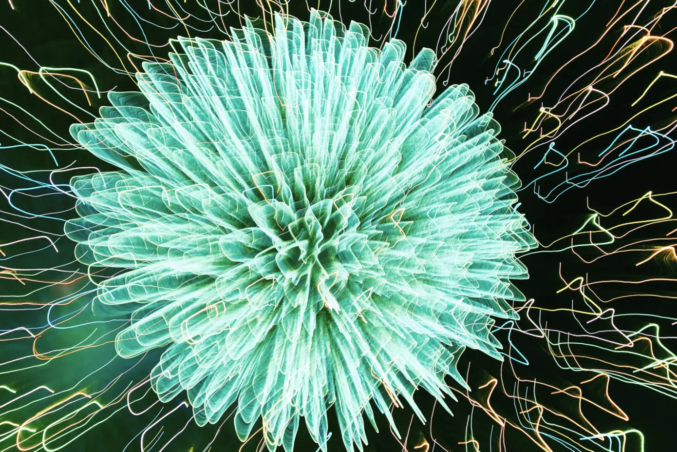 flame reaction_04
