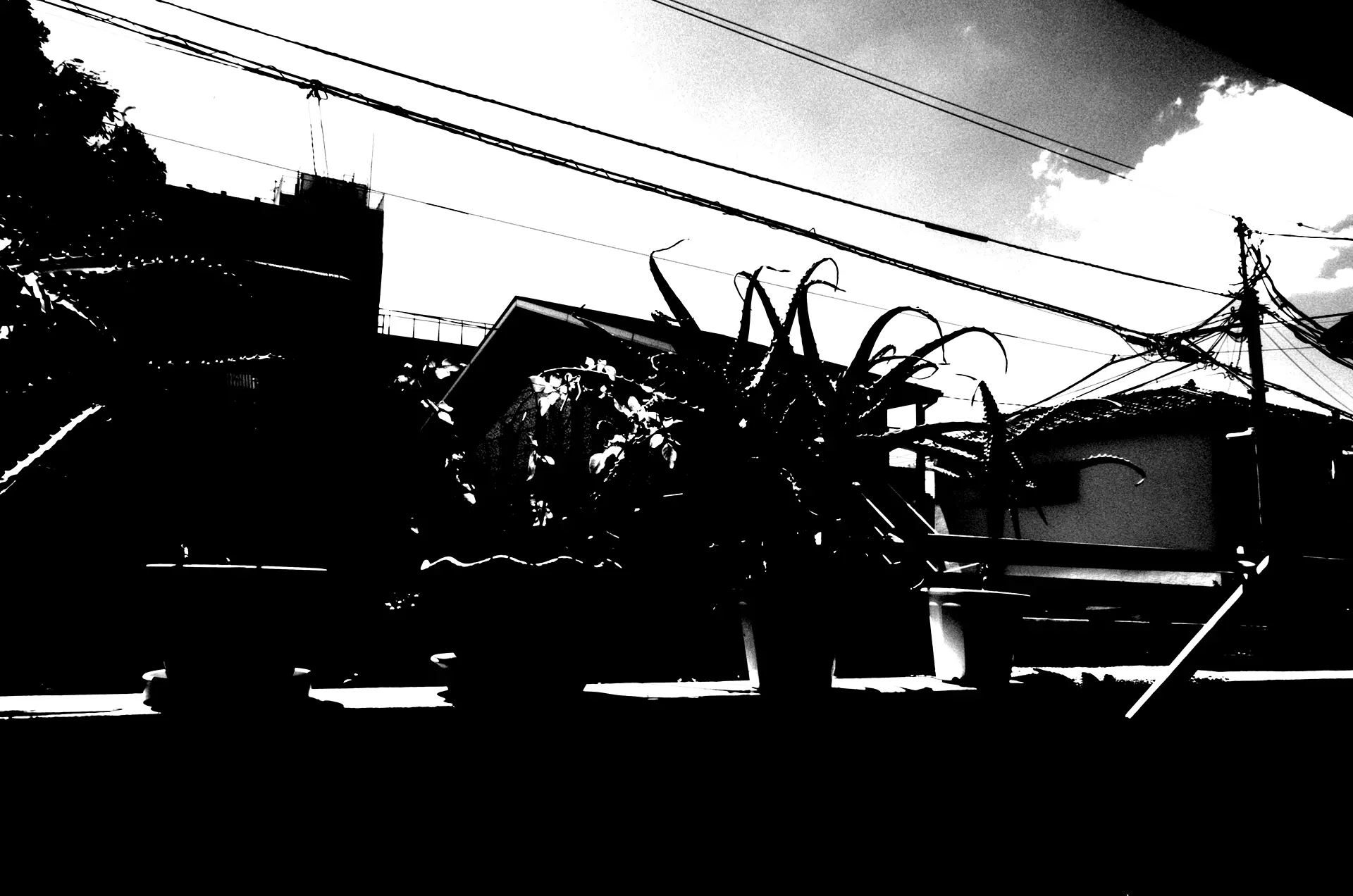 Landscape of Balcony