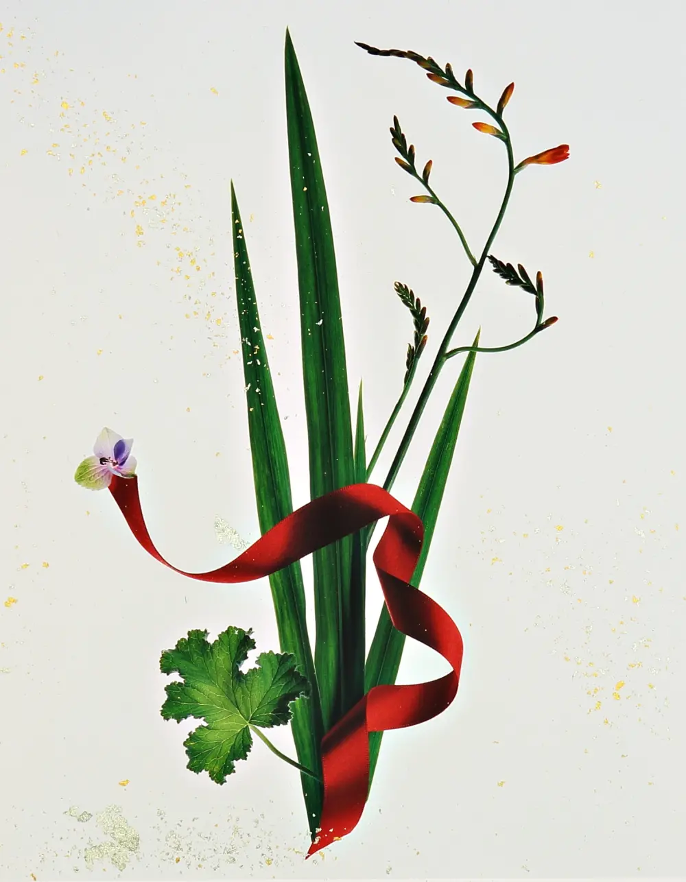 "Fresh Shoots" -芽吹く- （鋭先草）