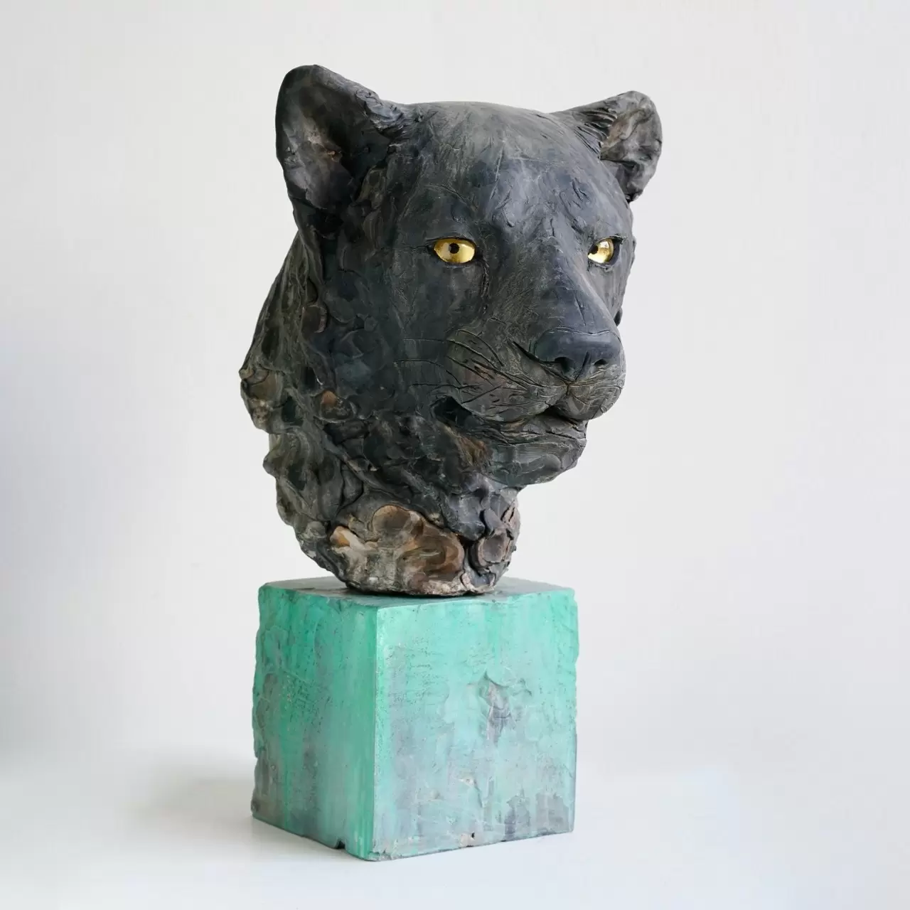 yoshitoshi kanemaki | 【金巻芳俊 