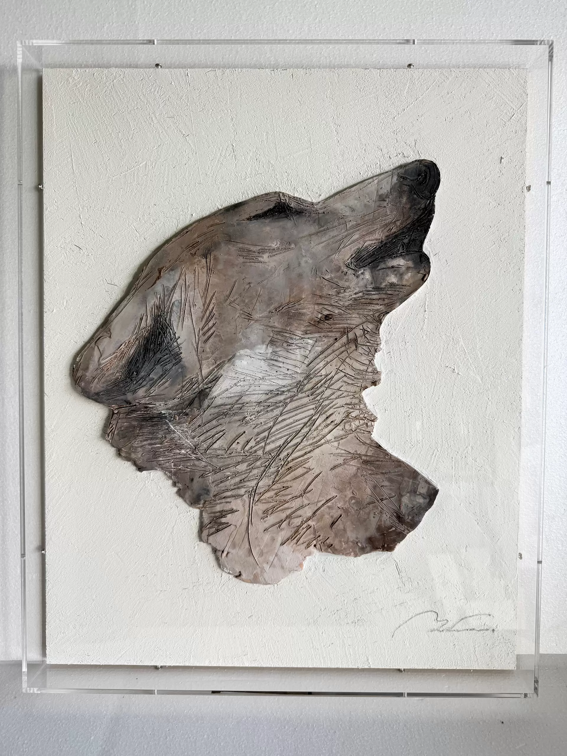 drawing relief  -オオカミ-