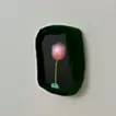 一輪