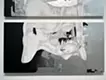 Gestalt(相互)