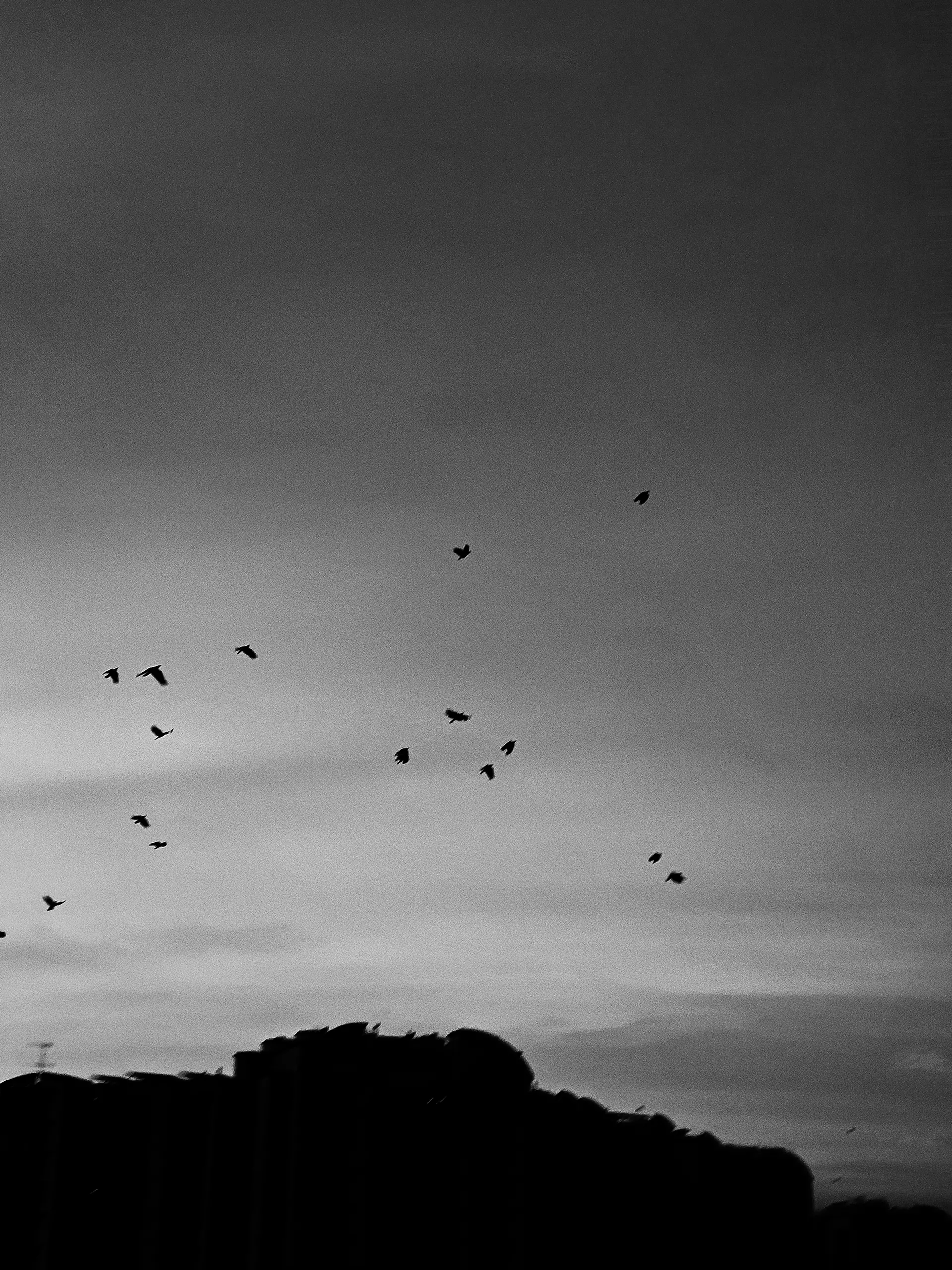 Freedom