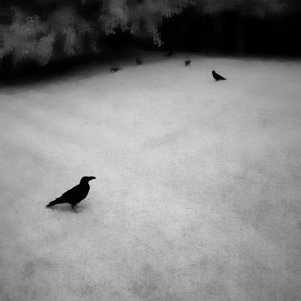 Somewhere not Here #045