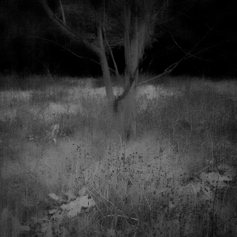 Somewhere not Here #053