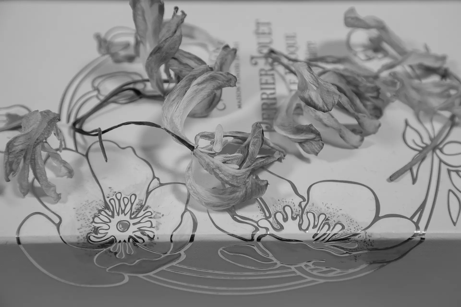 花 X 花