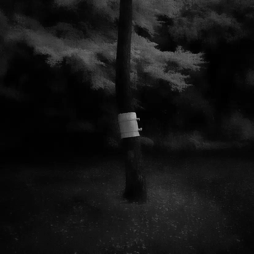 Somewhere not Here #054 by 渡部敏哉