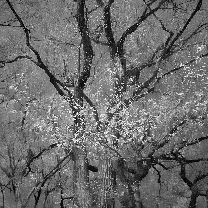 Somewhere not Here #056 by 渡部敏哉