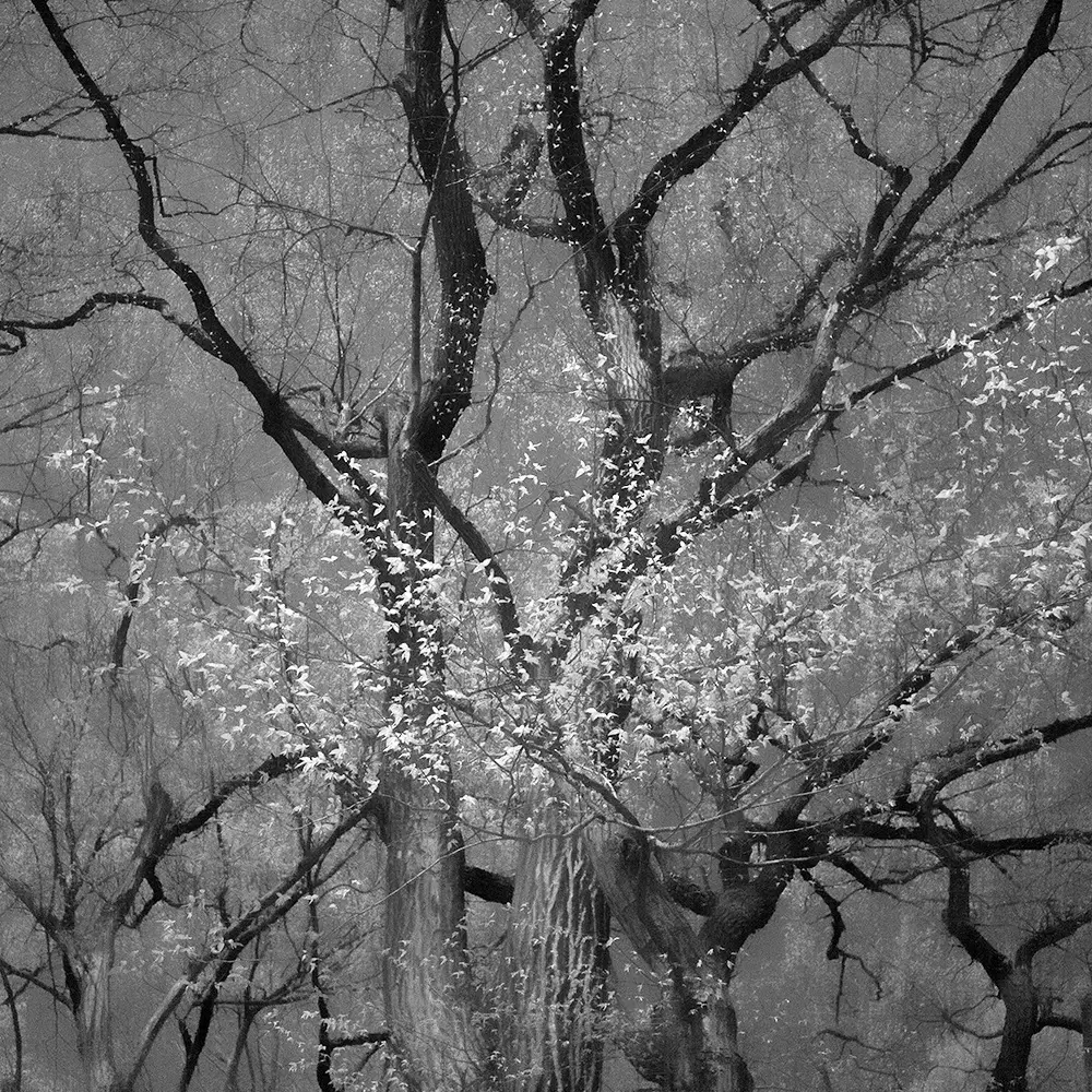 Somewhere not Here #056