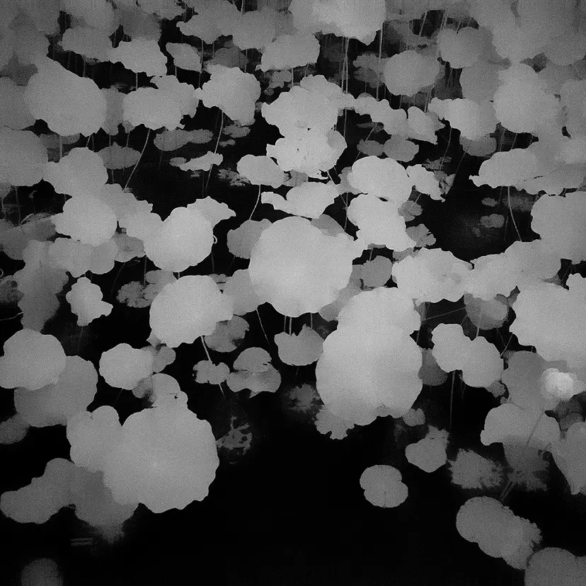 写真のアート作品 | 現代アートの販売・通販 | ArtSticker（アートス