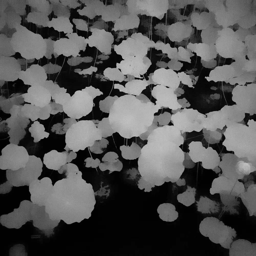 Somewhere not Here #060