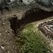 アオノニマス 廻 #11