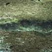 アオノニマス 廻 #18