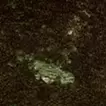 アオノニマス 廻 #41
