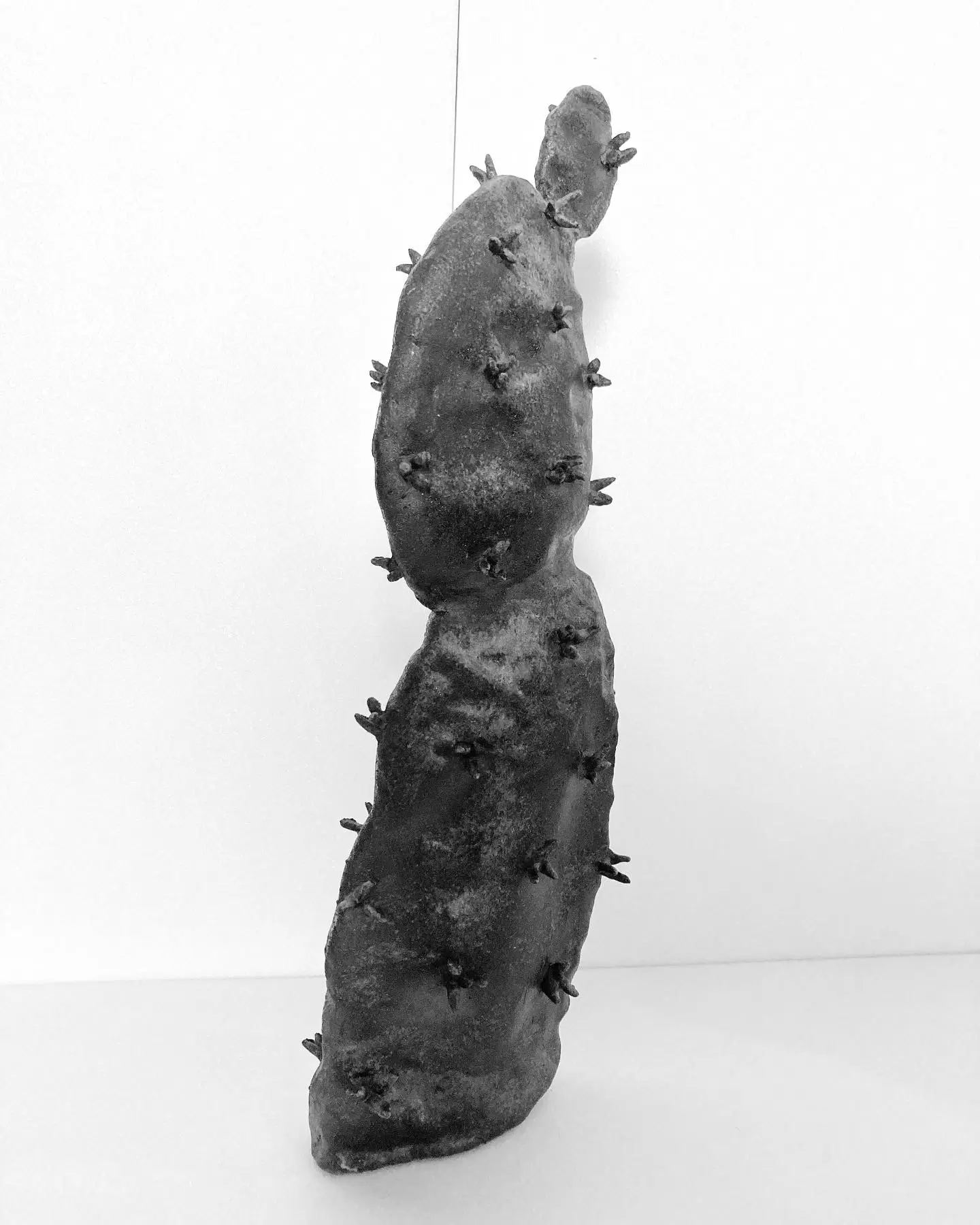 黒い自然釉キラキラうちわサボテン🌵