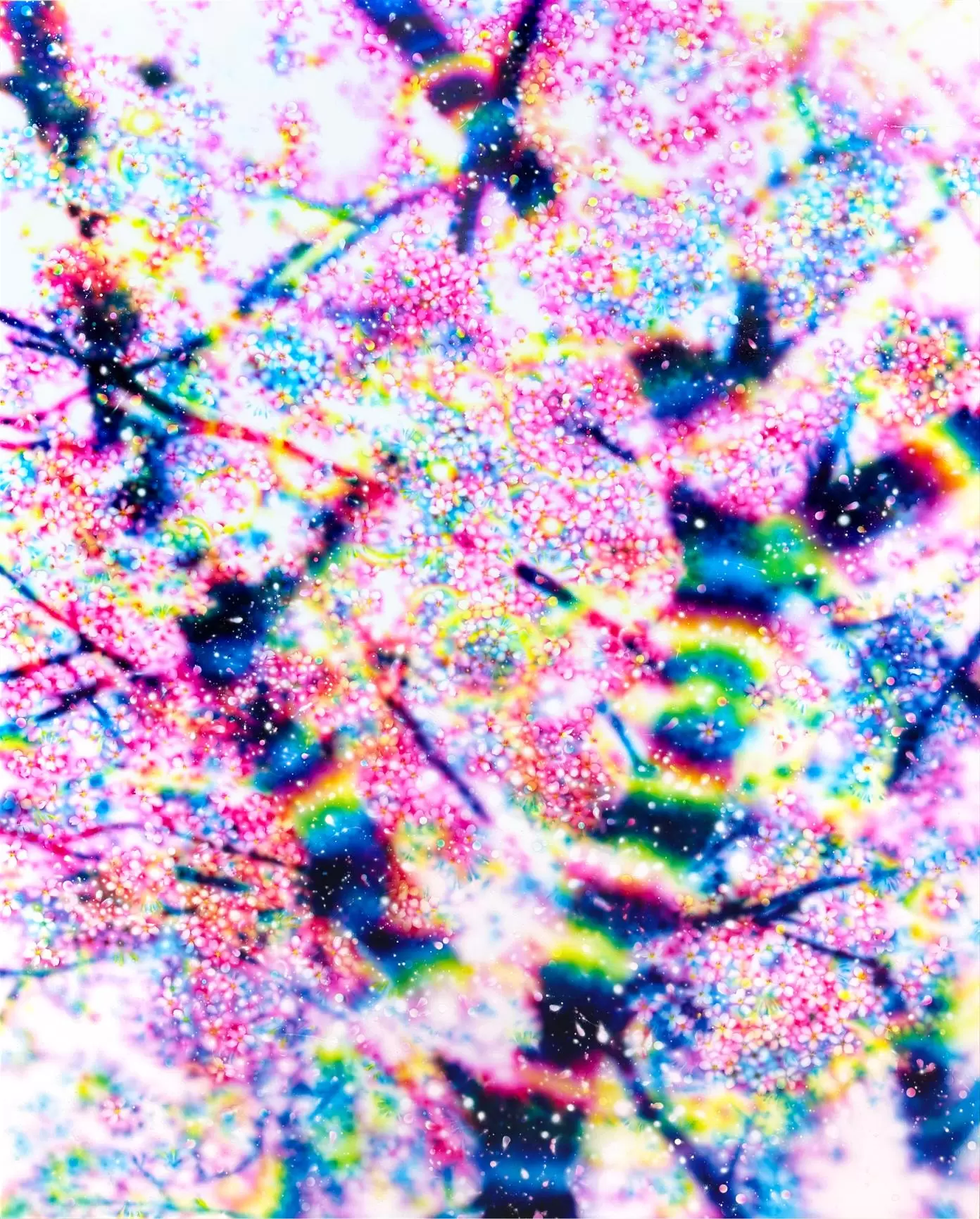 Cherry Blossom 12