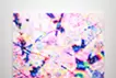 Cherry Blossom 12
