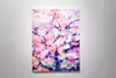 Cherry Blossom 18