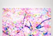 Cherry Blossom 18