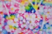 Cherry blossom 21