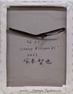 Cherry blossom 21