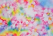 Cherry blossom 22