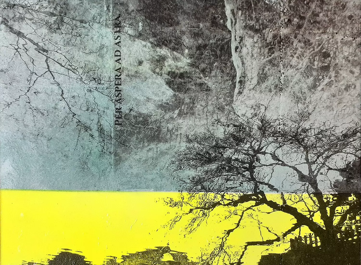 是蘭 のアート作品 | 現代アートの販売・通販 | ArtSticker