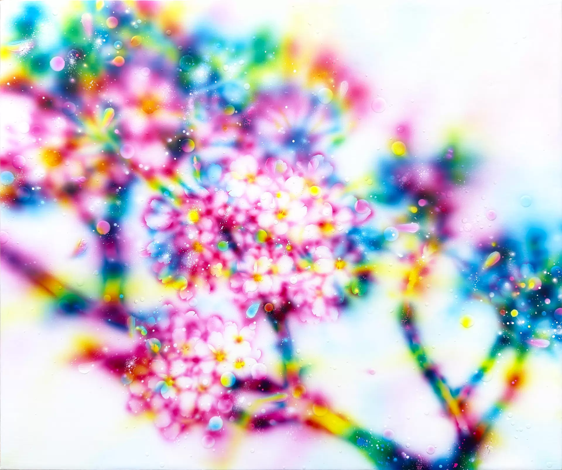 Sakura Void
