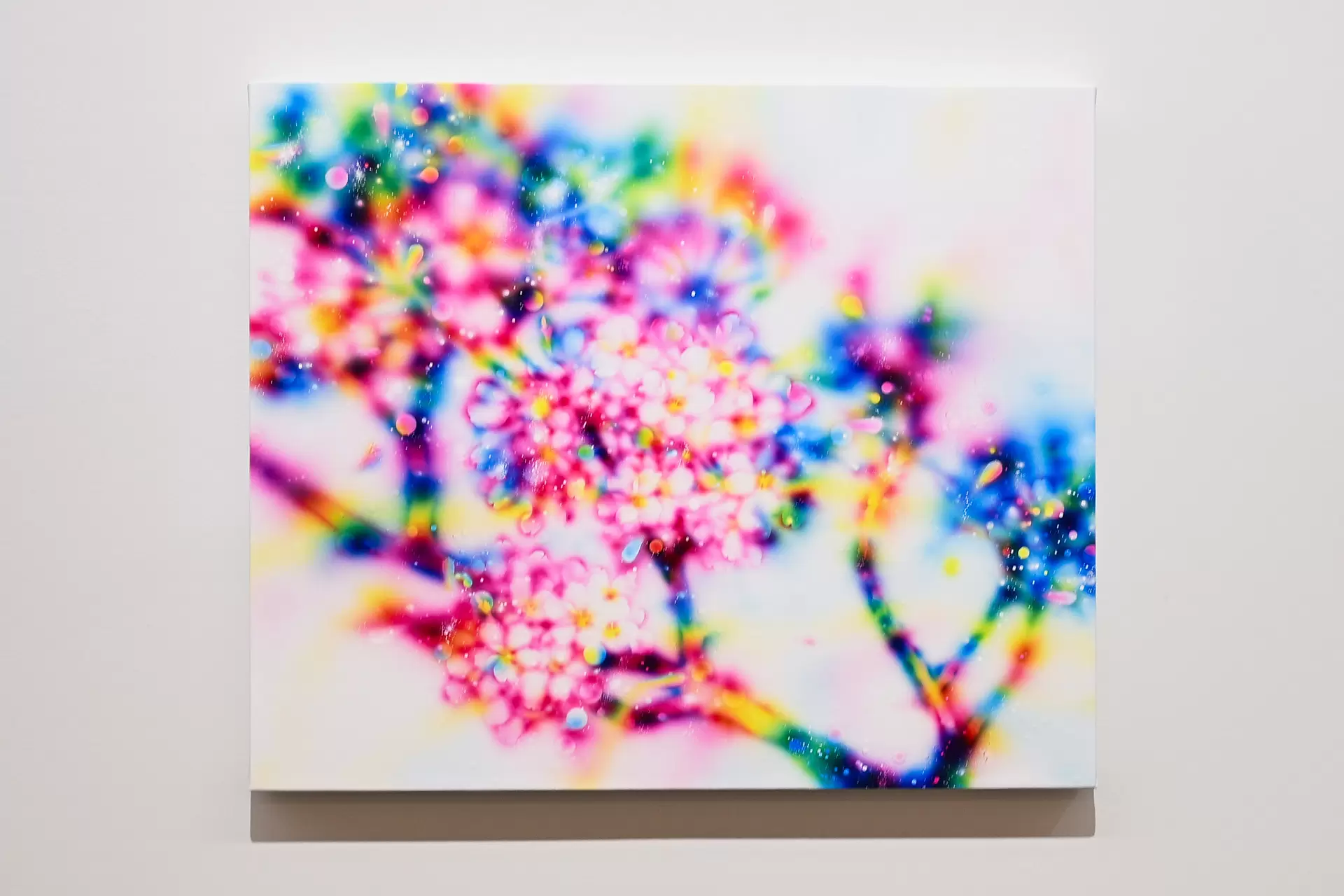 Sakura Void by 塚本智也 | 現代アートの販売・通販 | ArtSticker