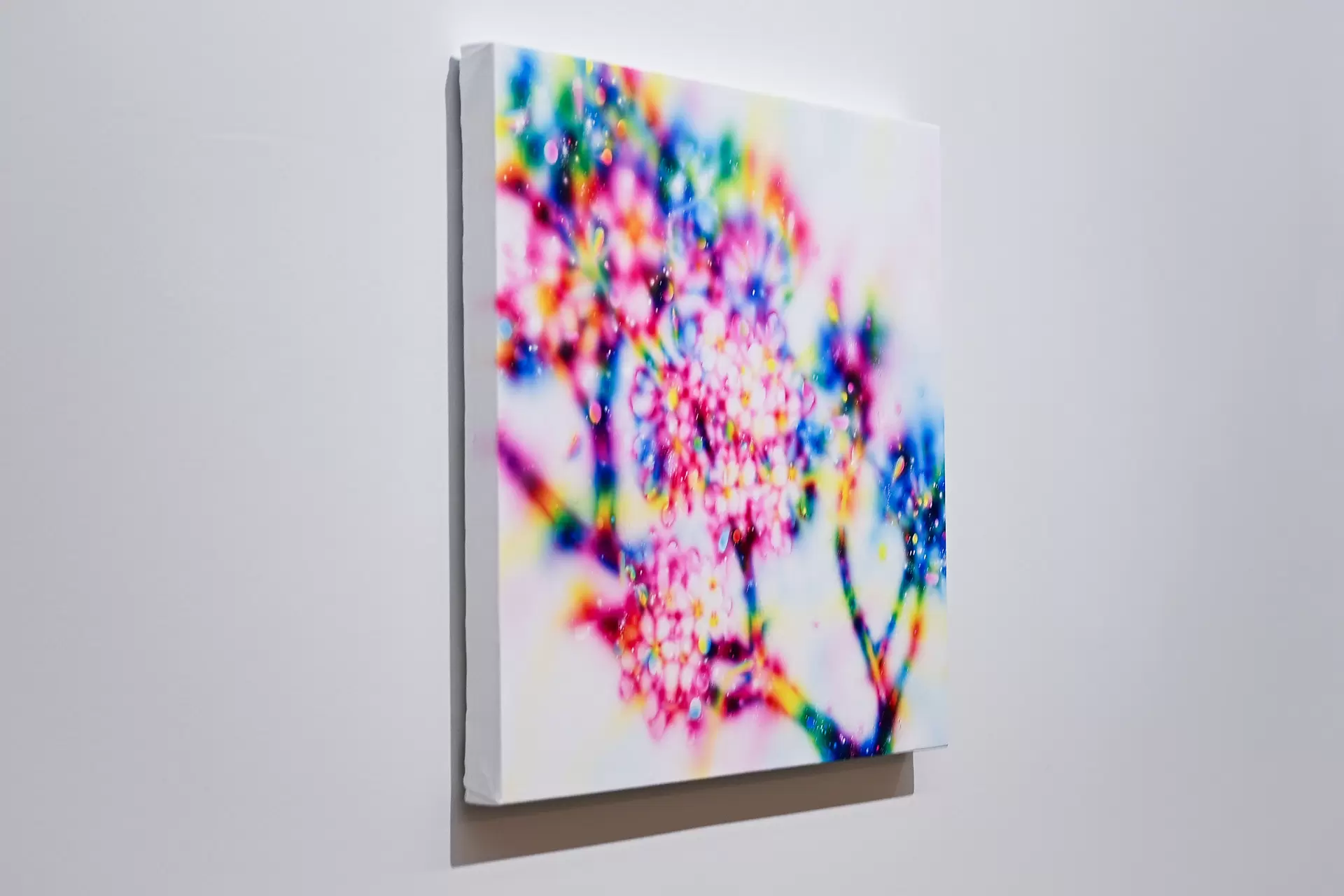 Sakura Void by 塚本智也 | 現代アートの販売・通販 | ArtSticker