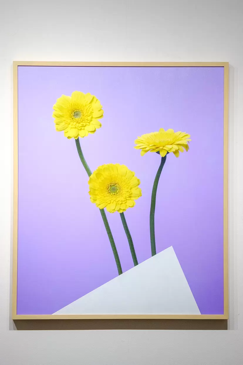 ピグメントプリントのアート作品 | 現代アートの販売・通販