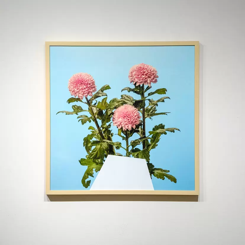 サインありのアート作品 | 現代アートの販売・通販 | ArtSticker