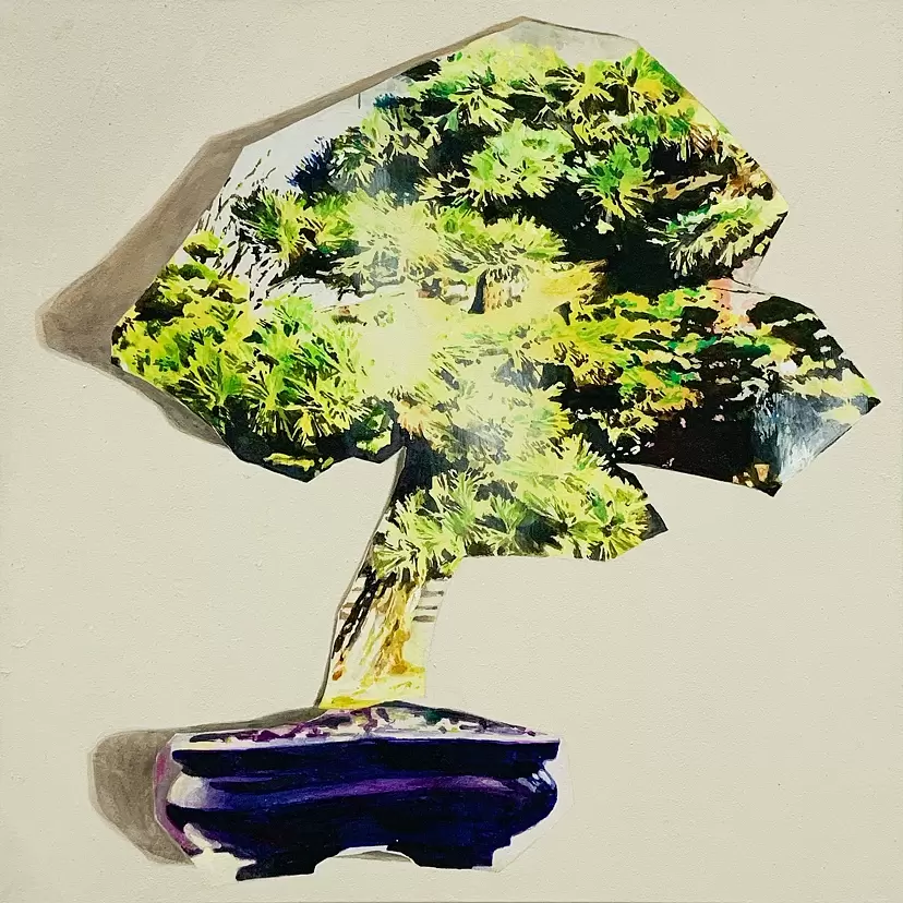 Bonsai by 大嶋 直哉