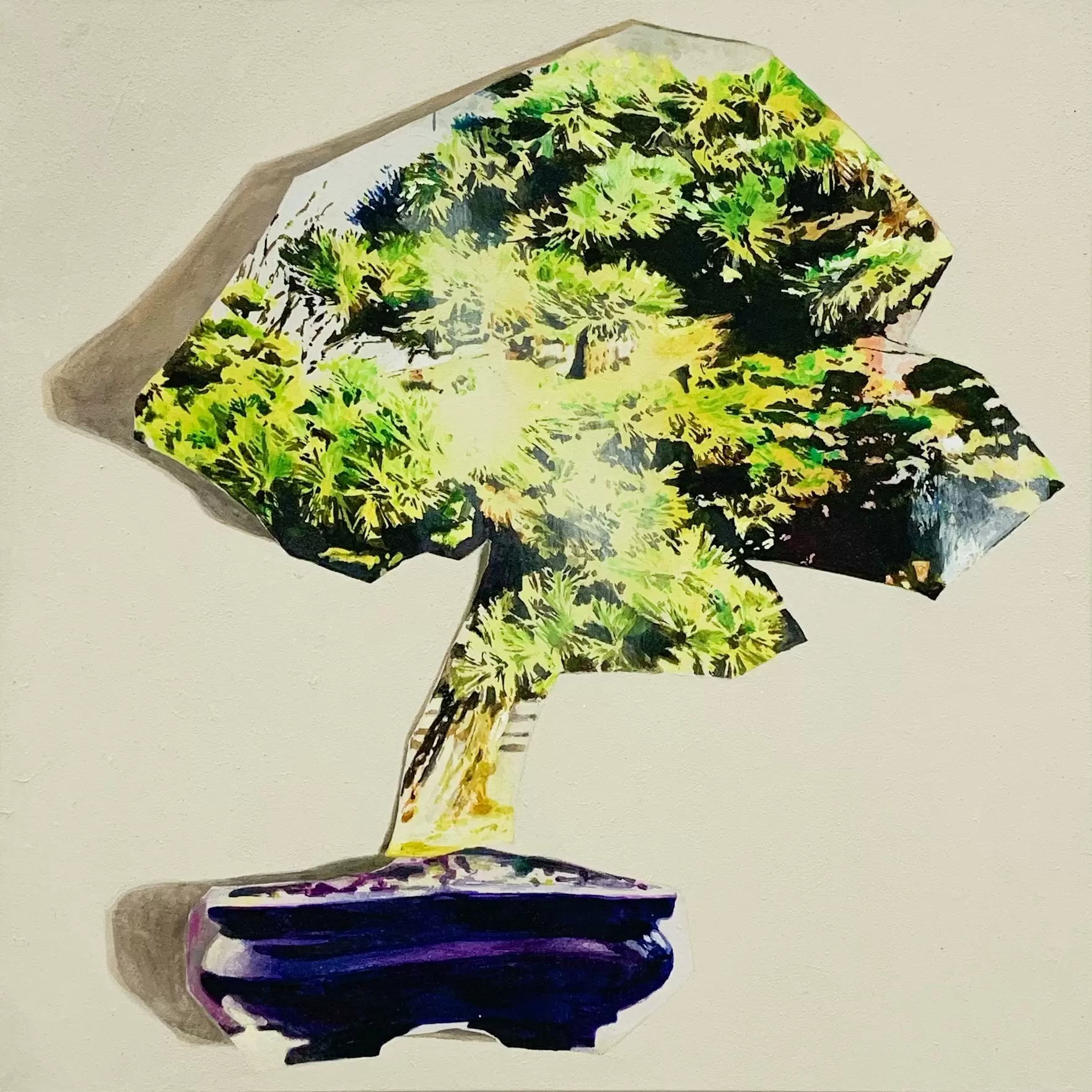 Bonsai
