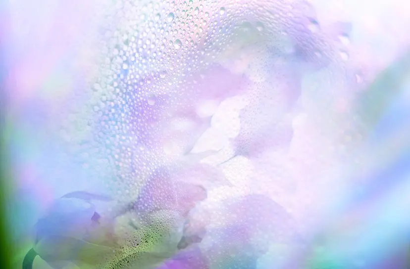 200% humidity-#03 by 北川マキ子