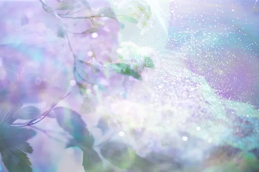 窓をあつめた5月-01 by 北川マキ子