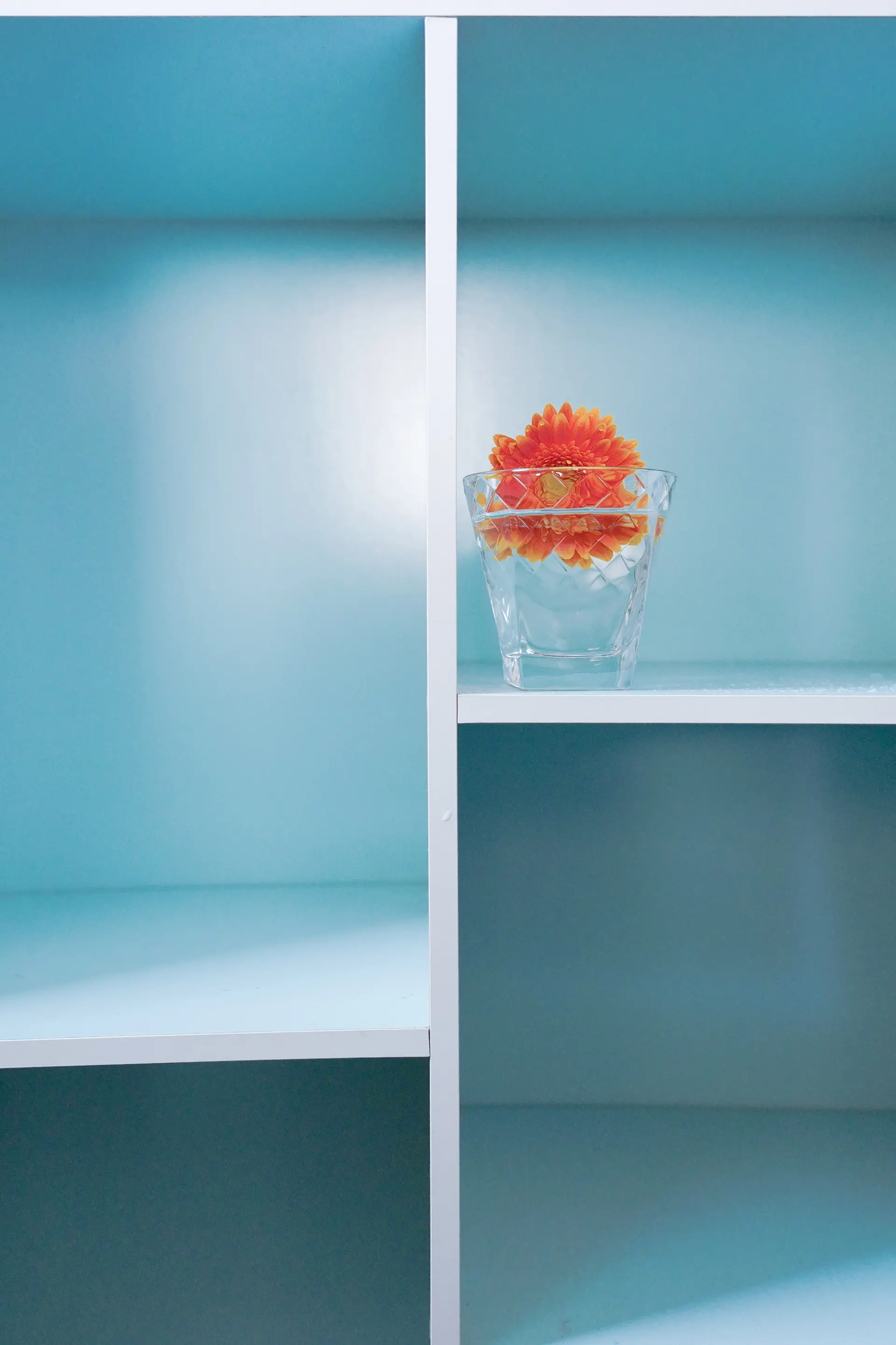  In the shelf
