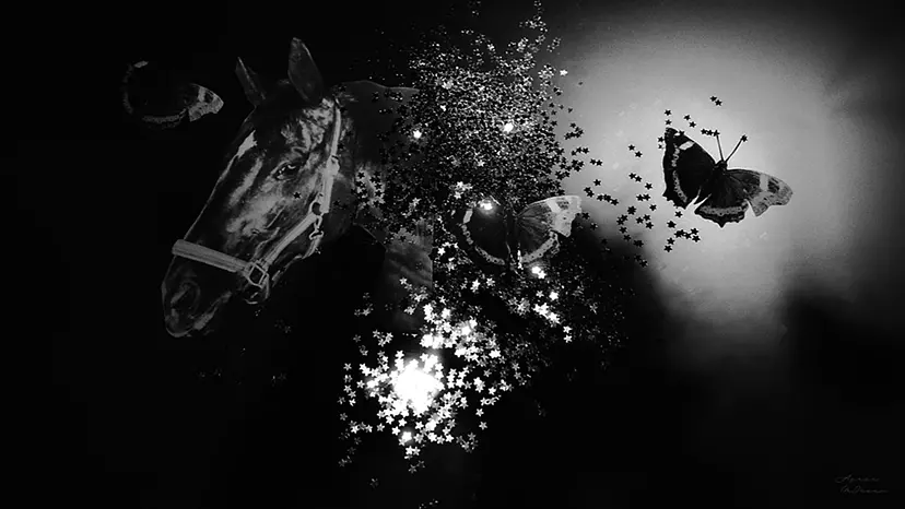 shrot-term memory #1 by 三井 彩紗 Ayasa Mitsui
