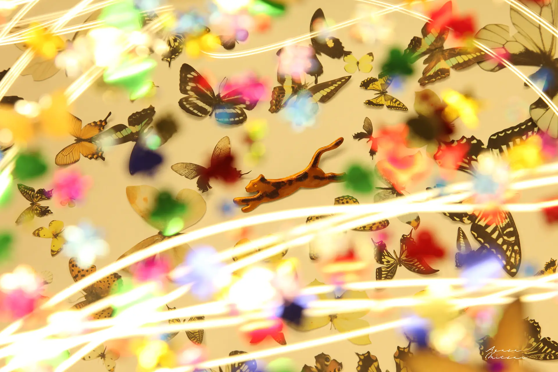 miniature garden - 箱庭 -